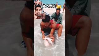 Big Shark 🦈😱 shark fishing beach fish florida longisland ocean shorts sharks bigfish fyp [upl. by Vano]