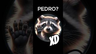 🦝 PEDRO🔥 Elige tu Mascota 🐶🗿 Comenta tu FAVORITA ⭐️ humor xd memes ia mascotas elige comedia [upl. by Mendy]