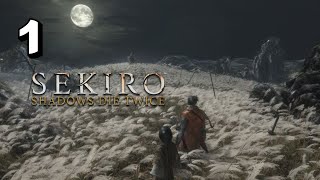 SEKIRO SHADOW DIE TWICE IMMORTAL SEVERANCE ENDING PART 1  LAST ENDING GUYSS [upl. by Ahsenauj263]