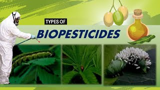 Biopesticides and its Common Types A Sustainable Solutions for Modern Agriculture [upl. by Garek]