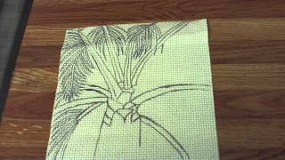 Drawing A Palm Tree Design On The Aida Cloth [upl. by Placida]