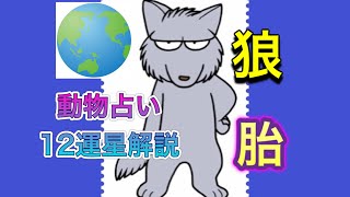 動物占いのキャラクターを徹底的に解説【狼】の行動パータン [upl. by Kareem]