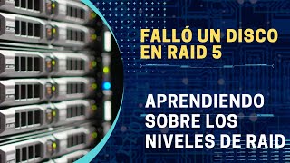 Tipos de Niveles de RAID [upl. by Aliakim576]