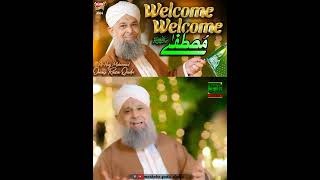 Owais Raza Qadri  Welcome Welcome Mustafa  Status Clip  New Kalam  2024 [upl. by Coraline]