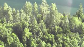 Mount Polley Mine Trailings Pond Breach [upl. by Schiffman85]