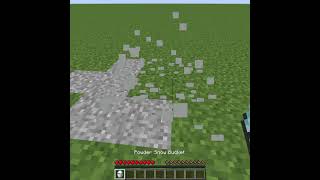 Snowless Snowy Grass Block In Minecraft [upl. by Willin513]