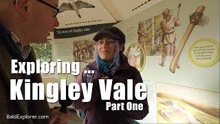 Exploring Sussex The Ancient Yew Trees of Kingley Vale  Part 1 [upl. by Sucramed]