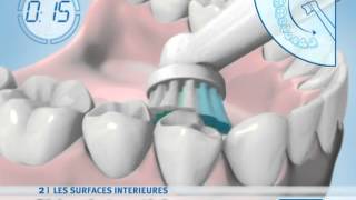 ORAL B BROSSE A DENTS  Soin dentaire  Vidéo produit Vandenborrebe [upl. by Toh]