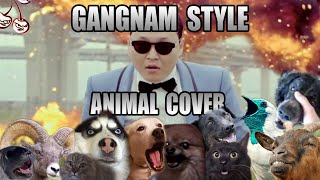 PSY  Gangnam Style Animal Cover [upl. by Ahsal]