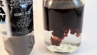 How To Mix Raw Solubles Humic Acid [upl. by Onnem]