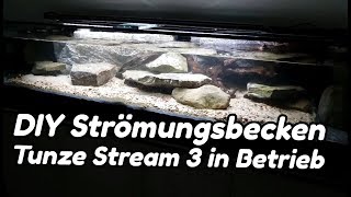 DIY Strömungsbecken  Tunze Stream 3 in Betrieb 5 [upl. by Eelreveb]