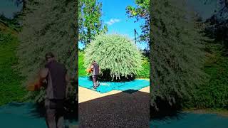 Satisfying Gardening Video 5 Enjoy It [upl. by Burrton]