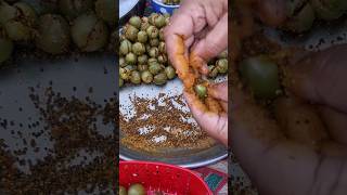 Lasooray ka Achar  Gunda Pickle  Glutinous Fruit Pickle gundapickle lasoorykaachar [upl. by Ul]