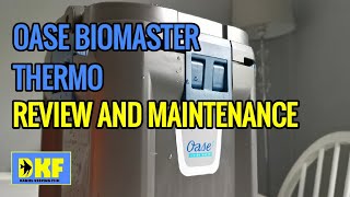 Oase Biomaster Thermo review and maintenance [upl. by Guido327]