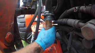 44 Kubota MX4800 Fuel Water Separator Replacement [upl. by Tneicniv784]