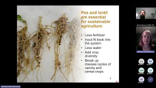 ILSWs3e2 Addressing root rot in pea and lentil with Syama Chatterton [upl. by Eimma]