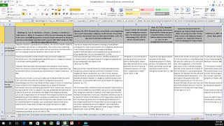 How to Create a Literature Matrix Excel [upl. by Eynaffit358]