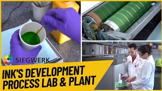 How ink Development Process LabampPlantSIEGWERK which inks are suitable for the right food packaging [upl. by Georgeanne305]