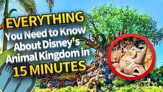 Everything You Need to Know About Disneys Animal Kingdom in 15 Minutes [upl. by Rockie883]