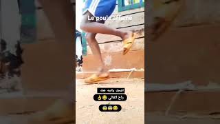 Le poule affamé france tiktokvideo humour food africa allah [upl. by Reynolds]