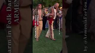 Charm in Folk Dance 💃 ARMENIA 🇦🇲 short 080 [upl. by Nitsed]