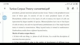 tunica corpus theory second year [upl. by Wallache]