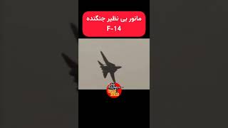 به نظر شما چه جنگنده ای میتونه مثل اف 14 از زمین بلندشه؟ [upl. by Bartram141]