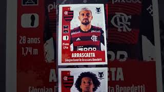 FLAMENGO BRASILEIRÃO 2022 ÁLBUM PANINI [upl. by Yaakov850]