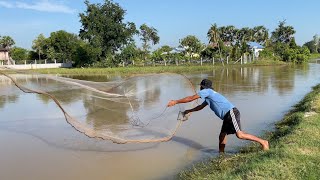 Cast net eel fishing fish  Fishing fish fishing shorts eelfishing [upl. by Adon]