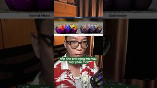 Part 12 Color Blindness trendingshorts cliphayhomnay homnayxemgi colorblindness [upl. by Xad495]