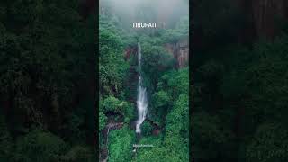 TIRUPATI Kapila Teertham Waterfalls [upl. by Novled643]