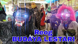 LIVE STREAMING REOG BUDAYA LESTARI DI DESA SUKASARI BLOK GERDU [upl. by Shirlene]