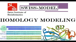 Homology Modelling amp Quality Assessment of Protein 3D Structure by Swiss Model MajidAli2020 [upl. by Jae]