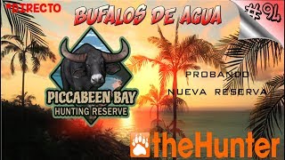 The Hunter Classic 94  Nuevo Mapa Piccabeen Bay  Búfalos de Agua  Español 1080p HD [upl. by Hilel267]