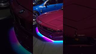 Bmw 840ci with pandem kit and toyota prius both trying to bring back underglow [upl. by Shelia]