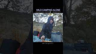 shorts WILD CAMPING ALONE  solo camping  bushcraft [upl. by Cranford717]