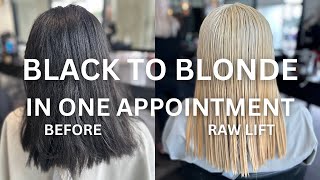 Epic Black to Blonde Hair Transformation OneDay Color Correction Tutorial [upl. by Retsev53]