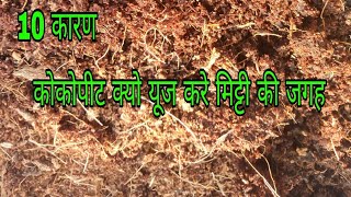 25010 reasons to use cocopeat in place of soil benefits uses of cocopeat Hindi Urdu [upl. by Lempres]