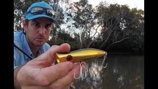 How I like to use Halcos Roosta Popper  an onwater review [upl. by Nerraf659]