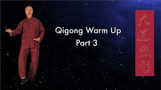 Qigong Warm Up Exercises  Part 3  for Joint Health  Simon Blow [upl. by Sydel]