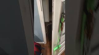 How to close door [upl. by Noiwtna]