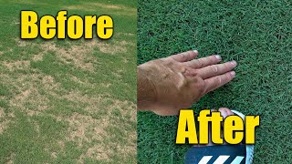 Thick Green Bermuda Lawn  Brown Patches Fixed [upl. by Milty]