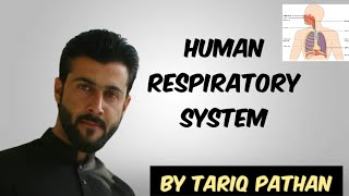 Class 12  Chapter 1  Human Respiratory System by Tariq Pathan [upl. by Alleunamme]