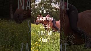 Zobacz mamo3 króli💗🐎🐴💗 na prośbę zosiagrzmil878☺️💗 horse equestrian edit konie lovehorse [upl. by Nilak]