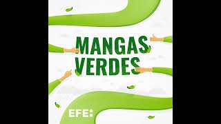 Mangas Verdes  Día del Medioambiente [upl. by Refinney]