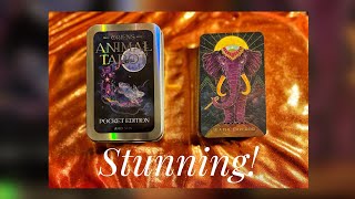 Oriens Animal Tarot Pocket Edition First Impressions [upl. by Magen]