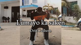 Lumayo ka saken  Drix Cashem Official Lyrics Video [upl. by Beret]