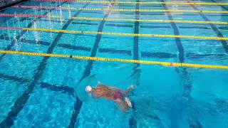 Speed Bump Breaststroke Kick Drill [upl. by Jarvis542]