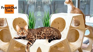 5 Incredible Gifts Your Cat Will Love [upl. by Auohp]