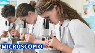 ¿Qué es el MICROSCOPIO y cuáles son sus partes Tipos importancia historia [upl. by Adnawaj667]